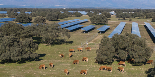 Talayuela II Solar plant