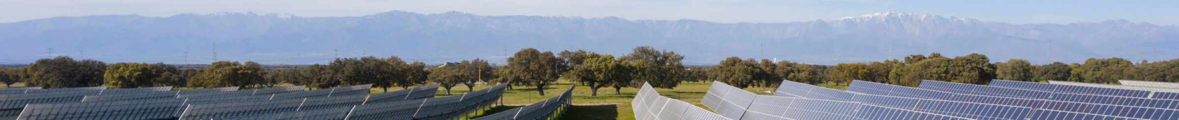 Paneles solares en Cádiz