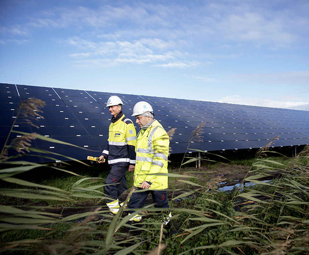 Trabajadores en frente de los paneles solares